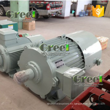 250KW 300 rpm generador de imanes permanentes alternador 690V con BV